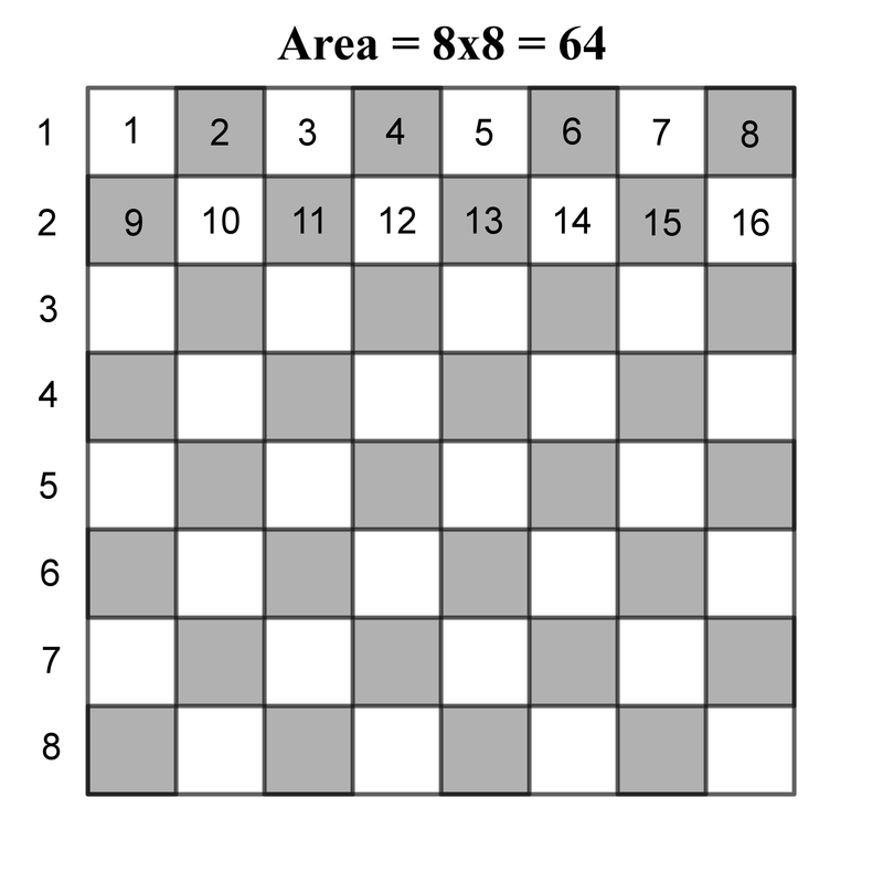 Figure 1. The area of a chessboard